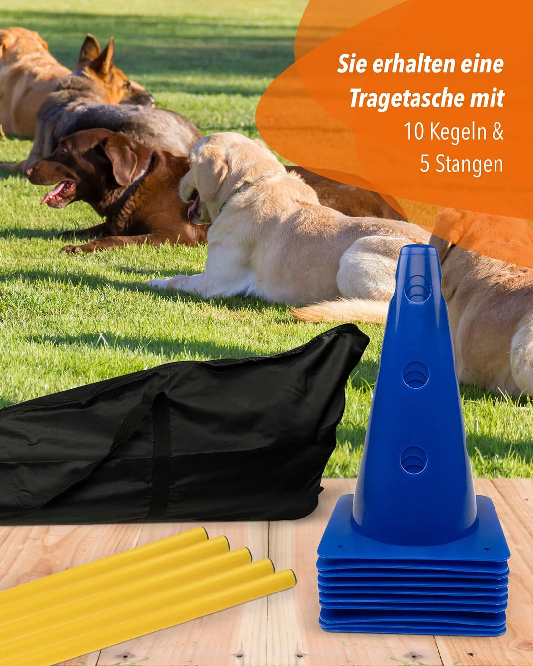 5 x Parcours-Hürde – Kegel-Hindernis für Agility Training – Steckhürden für Hund, Sport, Pferd &amp; Kin