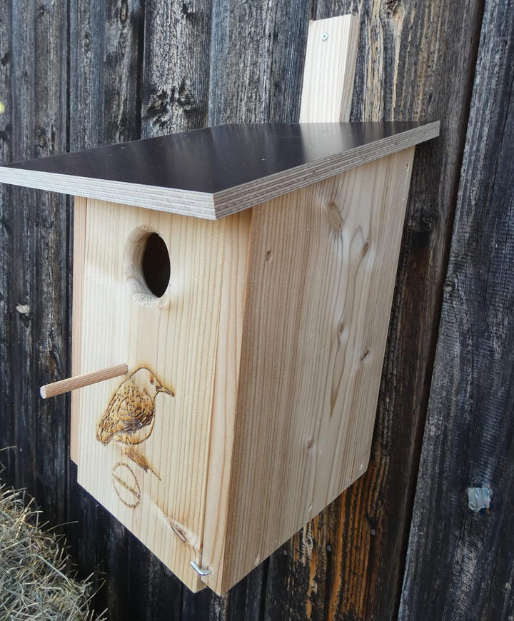 Premium Natur Lärchenholz Nistkasten unbehandelt nach Nabu, massives Vogelhaus Nisthilfe wetterfest