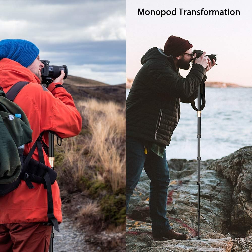 Andoer Q 666 Pro DSLR Kamera-Stativ Einbeinstativ Kugelkopf Veränderbar Tragbare Compact Reisenstati