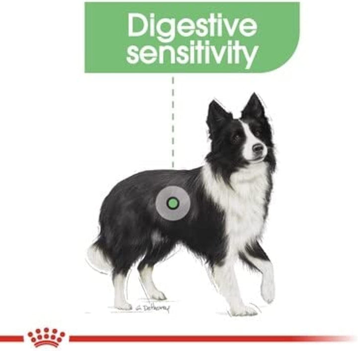 ROYAL CANIN Digestive Care Medium Poultry - Dry Dog Food - 12 kg
