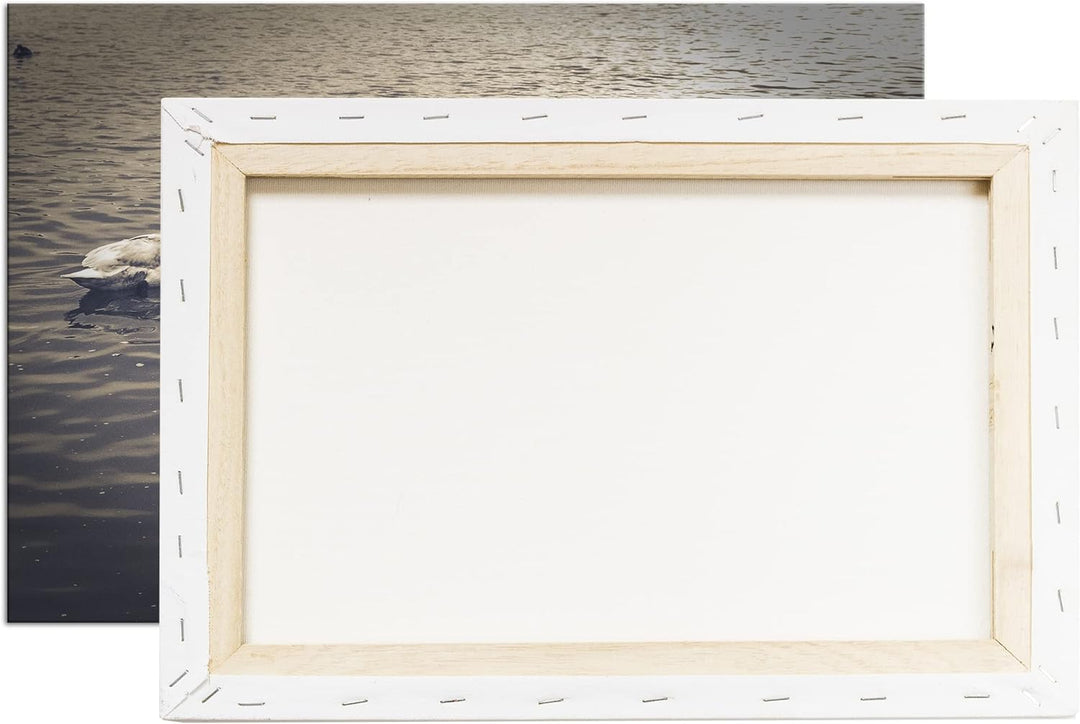 deyoli liebende Schwäne formen ein Herz Format: 100x70 als Leinwand, Motiv fertig gerahmt auf Echtho