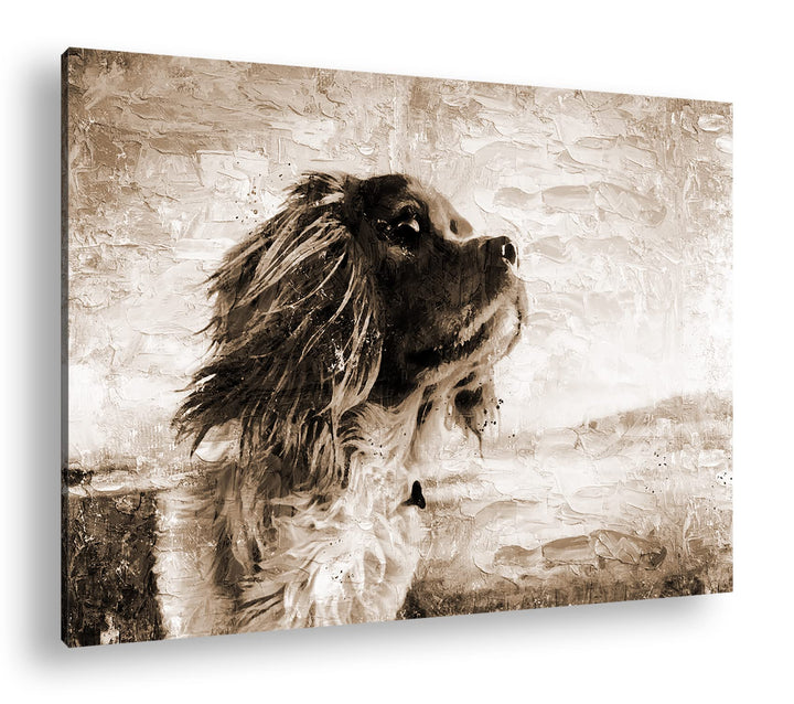 deyoli zauberhafter Hund Format: 80x60 Effekt: Sepia als Leinwandbild, Motiv fertig gerahmt auf Echt