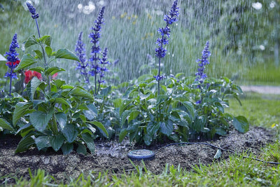 Gardena Bodenfeuchtesensor: Automatische Bewässerung, direkt auf der Rasenfläche einsetzbar, 5 m lan