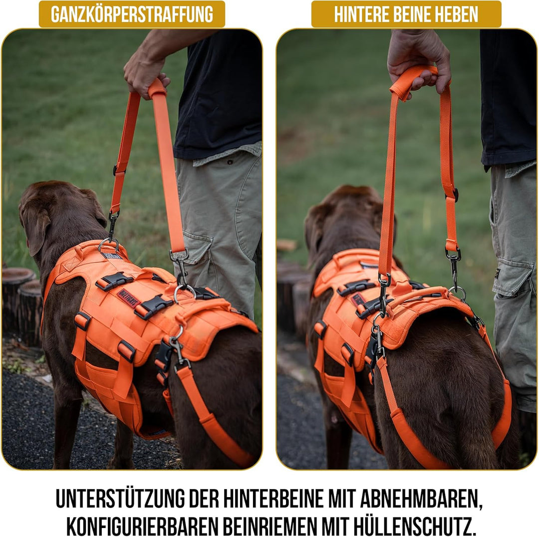 OneTigris Hundegeschirr, Invictus Hunde Tragehilfe für Mittelgrosse Grosse, Einstellbar Gehhilfe für