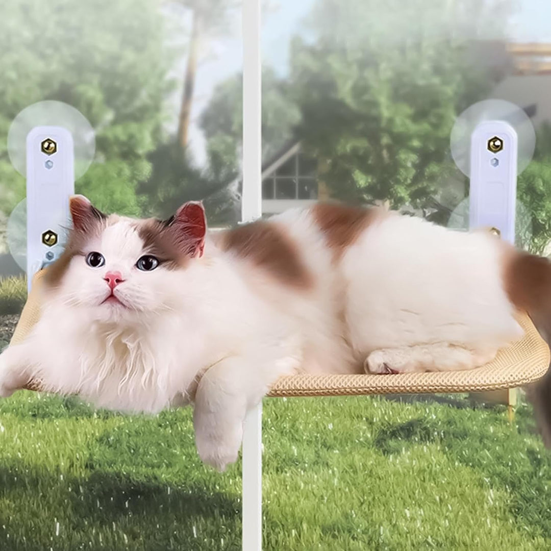 Katzensitz für Fenster, Katzenfensterbett,Katze Wandregale Fenster - Katzenhängematte für grosse Kat