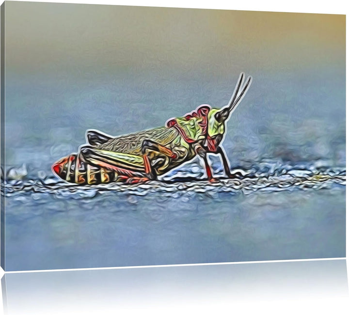 aussergewöhnliche Heuschrecke Deluxe Format: 100x70 cm auf Leinwand, XXL riesige Bilder fertig gerah