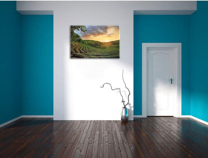 Pixxprint Teeplantage bei Sonnenuntergang / 100x70cm Leinwandbild bespannt auf Holzrahmen/Wandbild K