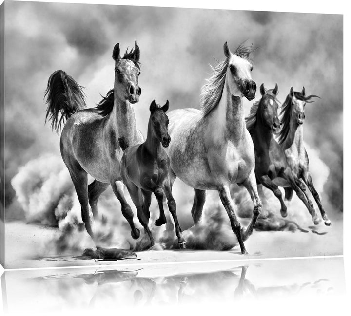 Pixxprint Monocrome, Western Pferde in Wüste mit Fohlen, Format: 100x70 auf Leinwand, 100x70