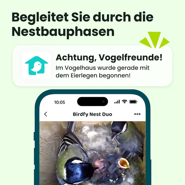 Birdfy Smart Vogelhaus mit Doppelkamera für Live Vogelbeobachtung, 1080P Bambus Nistkasten mit Kamer