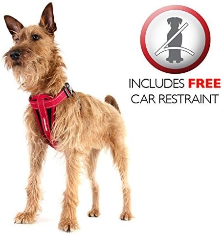 EzyDog Hundegeschirr Auto mit Sicherheitsgurt, Brustgeschirr Hund, Sicherheitsgeschirr Hund, 'Chest