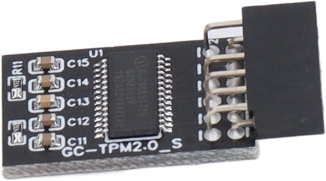 TPM 2.0 Modul LPC SPI 12 Pin Remote Card Encryption Security Board, Zubehör Kompatibel mit Plattform
