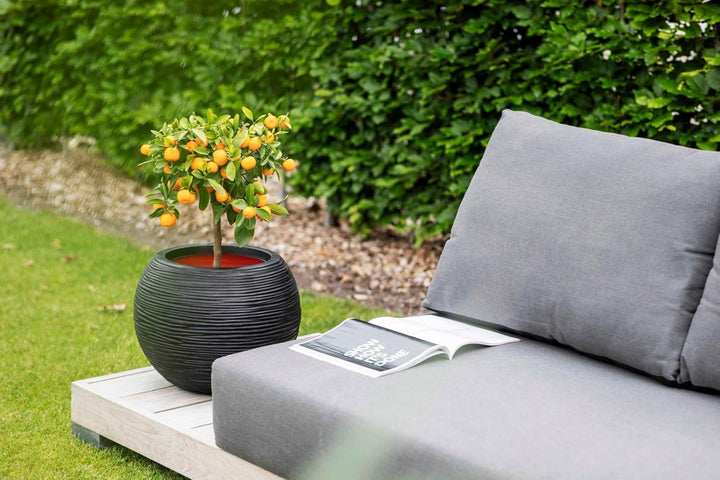Capi Europe - Gefäss Kugel Rib NL - 40x32 - Elfenbein - Öffnung Ø24 - Blumentopf für den Innen- und