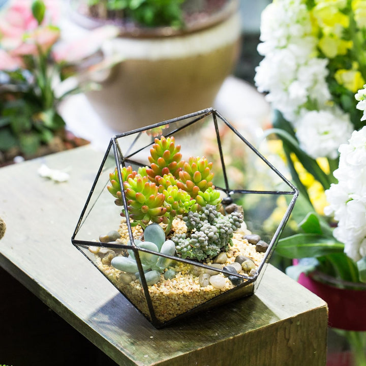 NCYP Handmade Blumentopf,Gemoetrisches Glasterrarium, dreieckig, in Form Einer Halbkugel, für Balkon