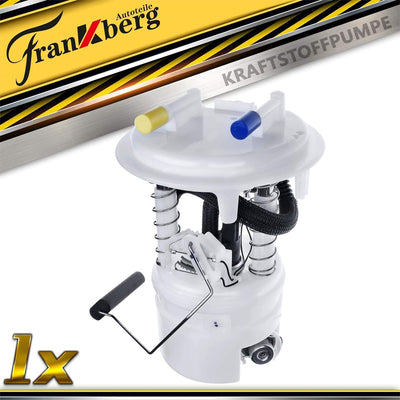 Frankberg Kraftstoffpumpe Benzinpumpe Kompatibel mit C3 Picasso 1.4L-1.6L 2009-2016 207 WA WC 1.6L 2