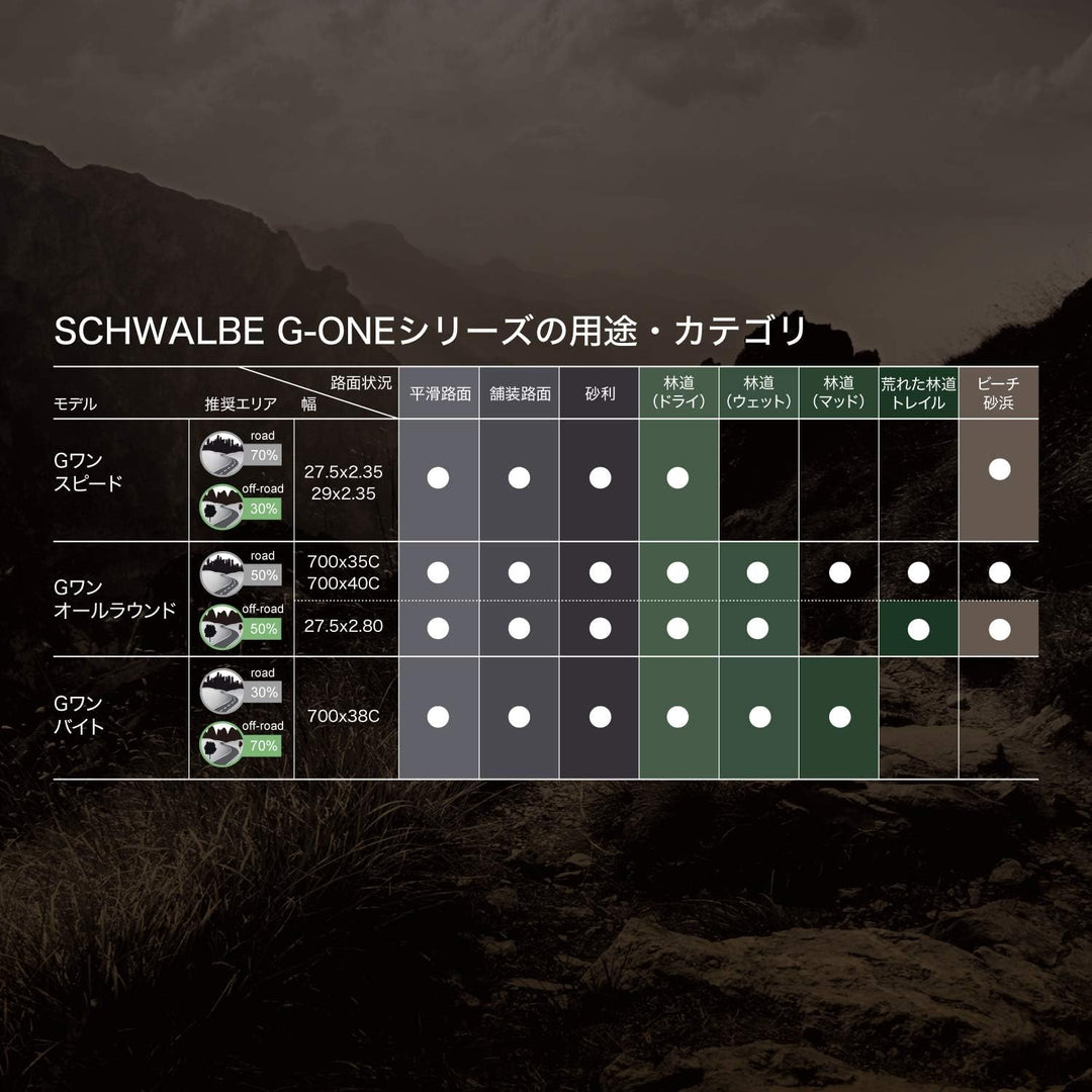 Schwalbe G-One Bite (OSC) Fahrrad Reifen // 50-622 (28×2 G-ONE BITE Evo, SnakeSkin, TLE 50-622 - Sna