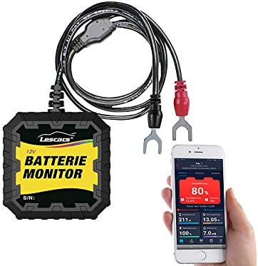 Lescars Batteriewächter 12V: Kfz-Batterietester und -Wächter für 12 Volt, mit Bluetooth & App, IP65