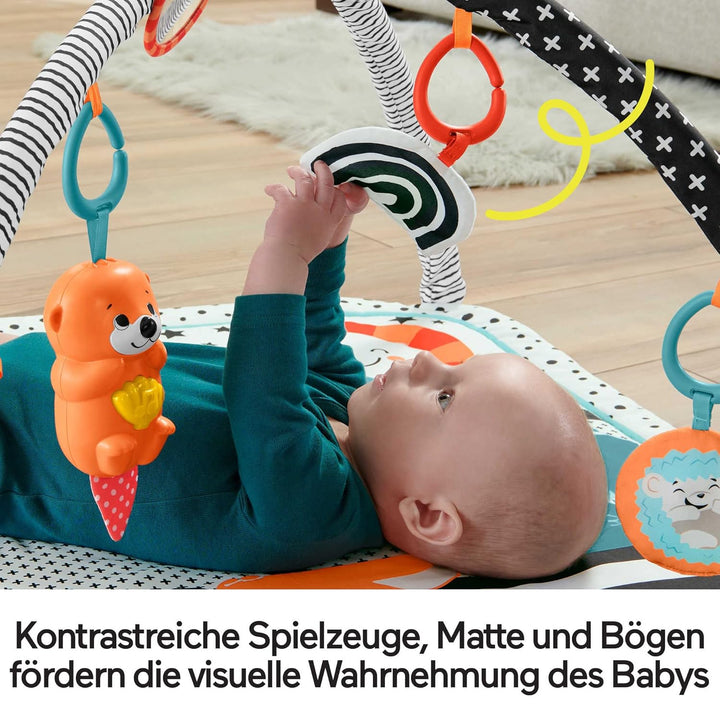 Fisher-Price Tierfreunde Kontrast-Spieldecke | Spielbogen Baby Spielzeug mit Musik und Licht | Krabb
