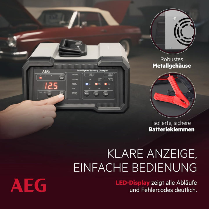 AEG Batterieladegerät CW10 lädt alle 6 V und 12 V Batterien, umfangreicher Sicherungsschutz, mit Lad