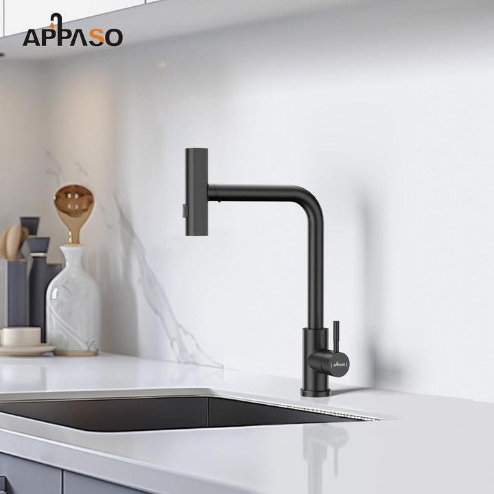 APPASO Wasserhahn Küche, Küchenarmatur mit Brause Ausziehbar für die Küche, Einhebel Ausziehbarer Sp