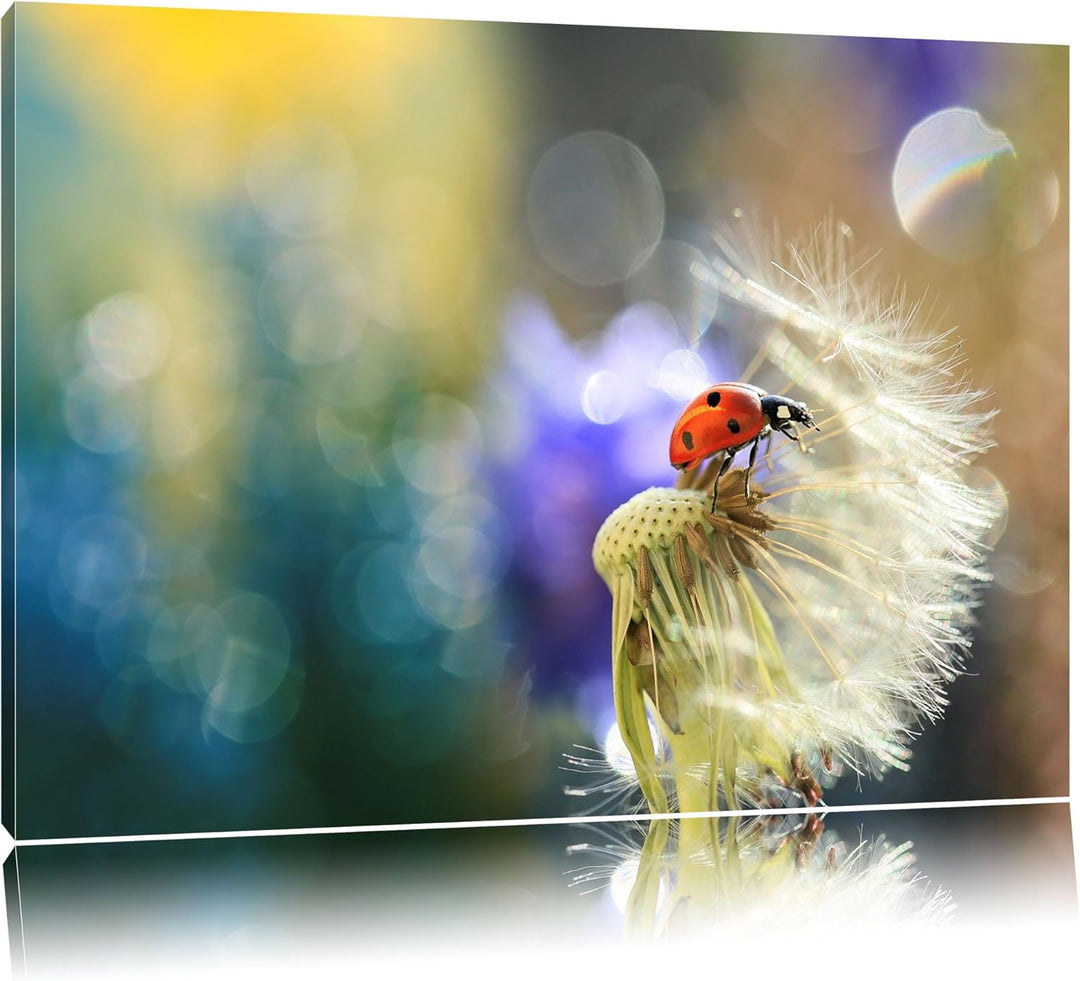 Marienkäfer auf Pusteblume Format: 100x70 auf Leinwand, XXL riesige Bilder fertig gerahmt mit Keilra