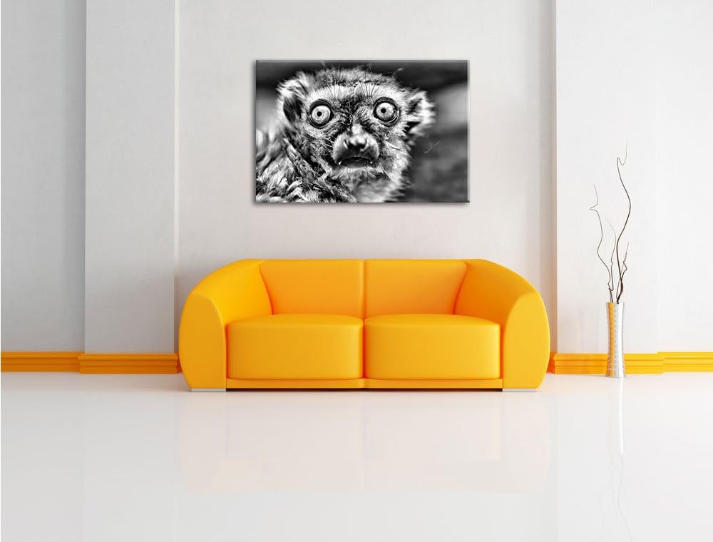 Pixxprint seltener Blauaugenmaki / 100x70cm Leinwandbild bespannt auf Holzrahmen/Wandbild Kunstdruck