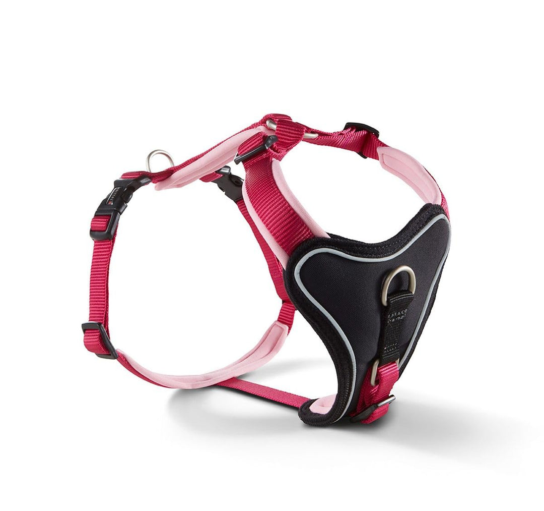 Wolters | Professional Comfort Himbeer/Rosé | 50-60 cm 50 - 60 cm himbeer/rose, 50 - 60 cm himbeer/r