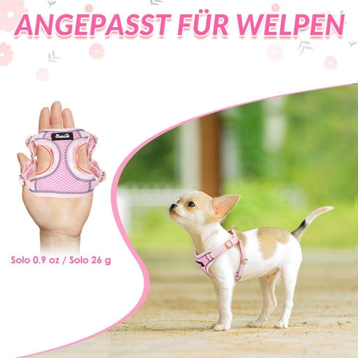Hundegeschirr Kleine Hunde mit Leine, Atmungsaktiv Air Mesh Brustgeschirrmit reflektierenden Streife