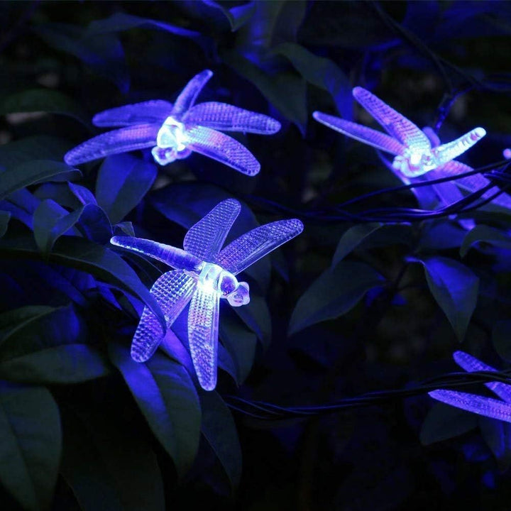 Solar Libellenlichterkette 20FT / 30 LED wasserdichte Innen- und Aussenmärchendekorationslichter, ge