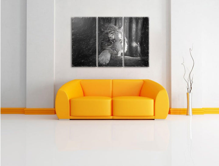 Pixxprint EIN Fantasy-Welt - eine Frau und EIN Riesen-Tiger Kunst Kohle Effekt 3-Teiler Leinwandbild