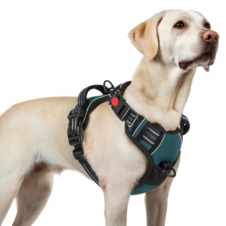 rabbitgoo Hundegeschirr Grosse Hunde, Verstellbare Geschirr Hund ohne Zug &amp; Würgen, Anti Zug hundege
