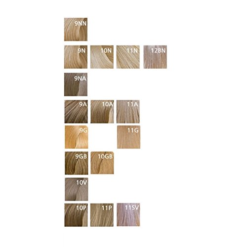 Goldwell Topchic Haarfarbe silver natural 11SN, 1er Pack (1 x 60 ml) 11sn Hellerbld Silber Naturell