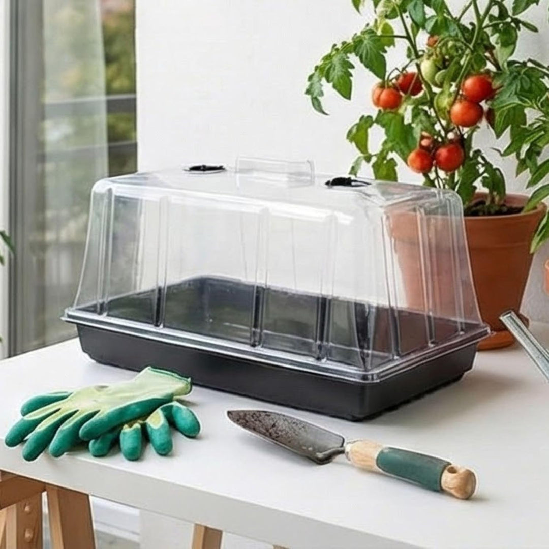 GrowPRO High Dome Zimmergewächshaus, 54x27x25 cm - Anzuchthaus mit verschliessbaren Belüftungslöchen