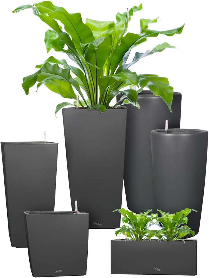 Pflanzwerk® ÖKOSYSTEM Pflanzkübel TUB - Blumentöpfe Übertöpfe mit BEWÄSSERUNGSSYSTEM - 32x56x28cm AN