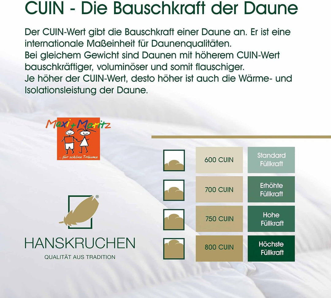 HANSKRUCHEN® Maxi und Moritz Daunen Kinderbettdecke 135x100 cm - Winter - Made in Germany Baby Bettd