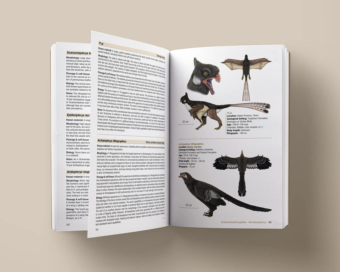 Birds of the Mesozoic: An Illustrated Field Guide, Taschenbuch