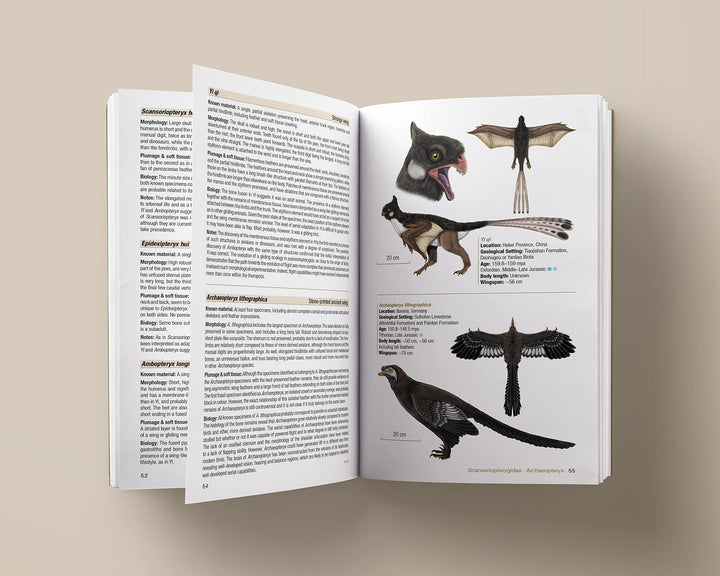 Birds of the Mesozoic: An Illustrated Field Guide, Taschenbuch