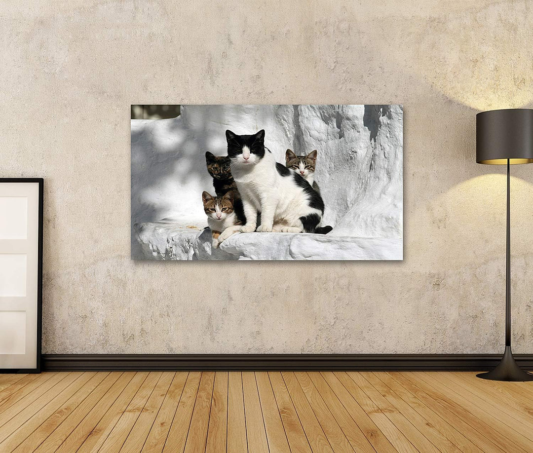 islandburner Bild auf Leinwand Katzen Griechenland Vor Wand Im Griechischen Stil Bilder Wandbilder P