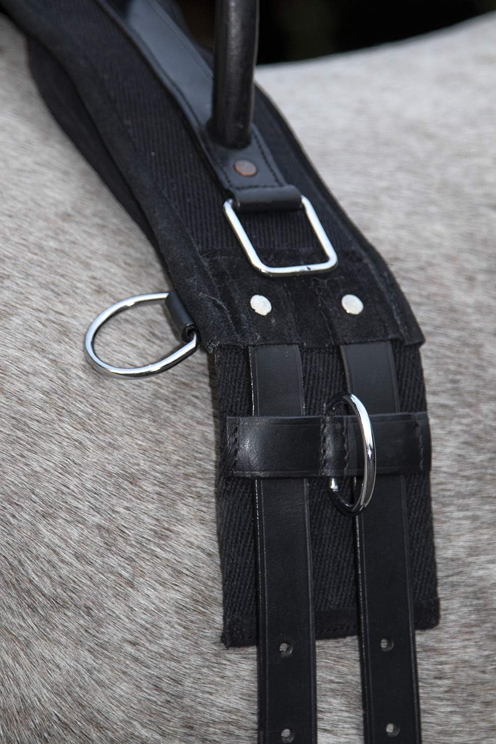 HKM Longiergurt Canvas mit Doppelgriff (Pony, schwarz) Schwarz Pony, Schwarz Pony