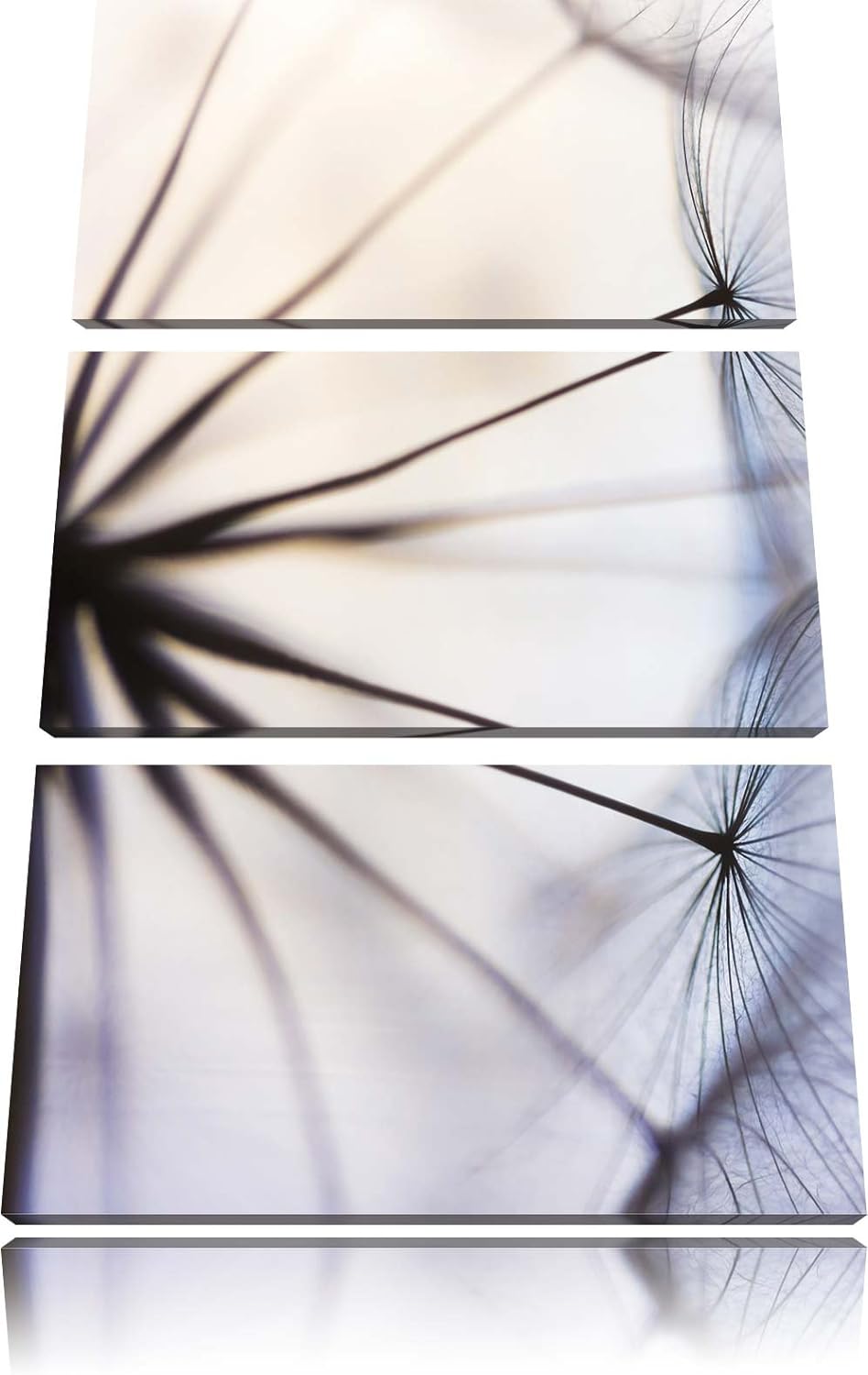 Pixxprint Weisse Pusteblumen als Leinwandbild | Grösse: 3 Teilig (120x80) | Wandbild| Kunstdruck | f