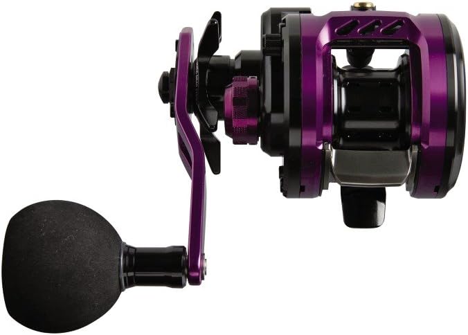 Nein Daiwa Kyohga 100SHL Baitcastrolle Multirolle Bay Jigging Rolle