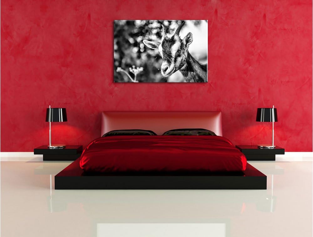 Pixxprint Niedliche Ziege / 100x70cm Leinwandbild bespannt auf Holzrahmen/Wandbild Kunstdruck Dekora