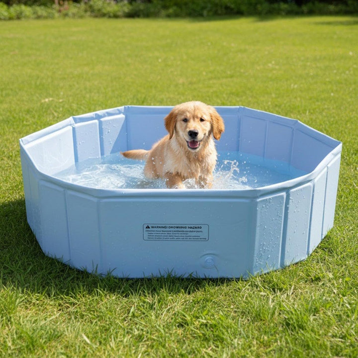 Hundepool - Faltbare Katzen Planschwanne Wasser Spielzeug - Tragbare Bade Wanne | für Kleine, Mittle