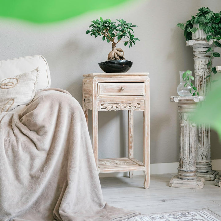 livasia Teakholzschränkchen mit Schnitzerei Hellbraun, Nachttisch, Kommode, Nachtschrank, aus Java (