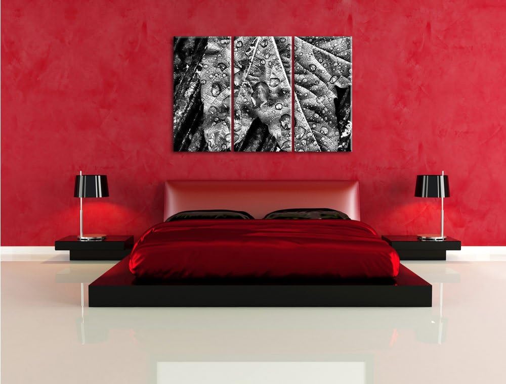 Pixxprint Regentropfen auf Blatt als Leinwandbild/Grösse: 3 Teilig (120x80) / Wandbild/Kunstdruck/fe