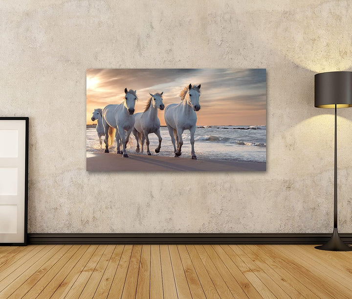 islandburner Bild auf Leinwand Weisse Pferde Camargue Frankreich Herde Bilder Wandbilder Poster Lein