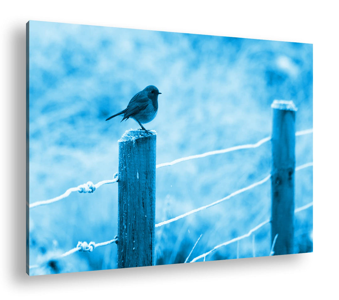 deyoli niedlicher kleiner Vogel auf einem Weidenzaun Format 80x60 Effekt: Monocrome Blau als Leinwan