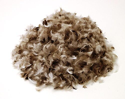 Hofmann Sibiria Exclusiv Kopfkissen Federkissen 60x80 cm sibirische Wildgans 15% Daunen