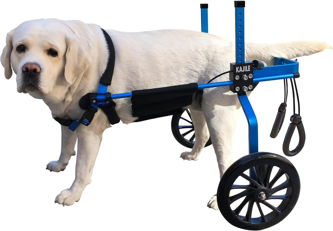 KAJILE Verstellbarer 2-Rad-Hunderollstuhl, XXL-3 Grösse für behinderte Hunde Hinterbeine Rehabilitat