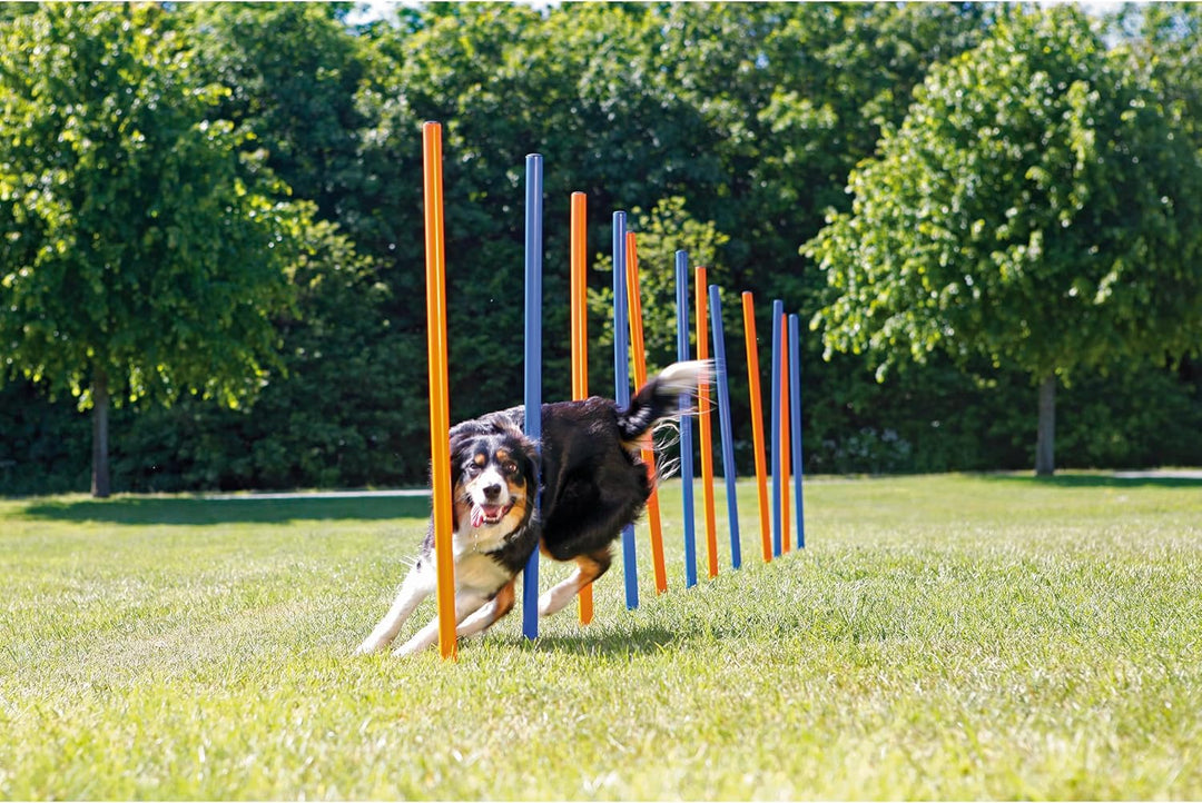 Trixie Agility Slalom, 12 Stangen, 115×ø 3 cm