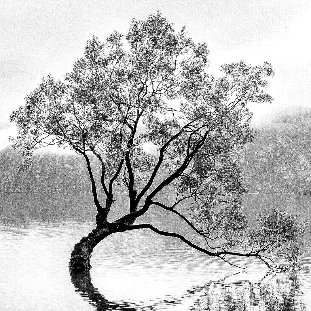 Novart Wandbilder Landschaft Sand Natur - KOMPLETT AUFHÄNGFERTIG - Schwarz Weiss Wohnzimmer Schlafzi